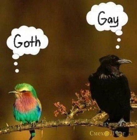 Cornuruza tweet media