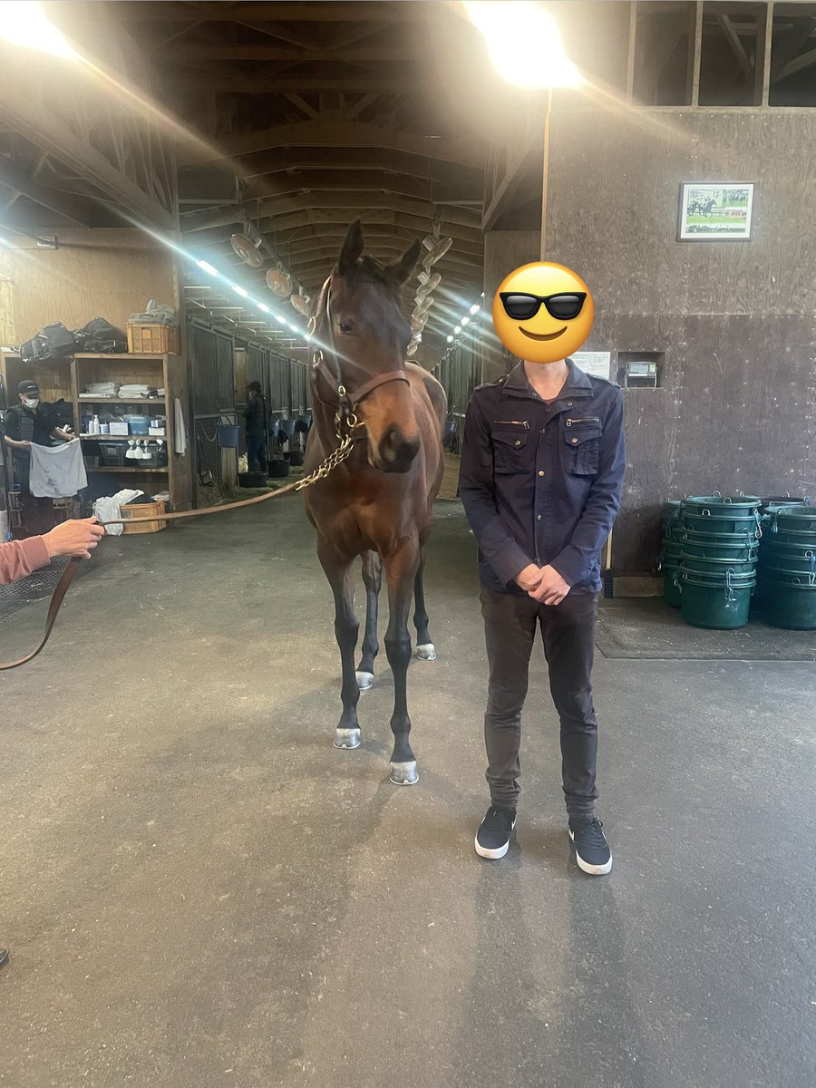 ホーリー tweet media