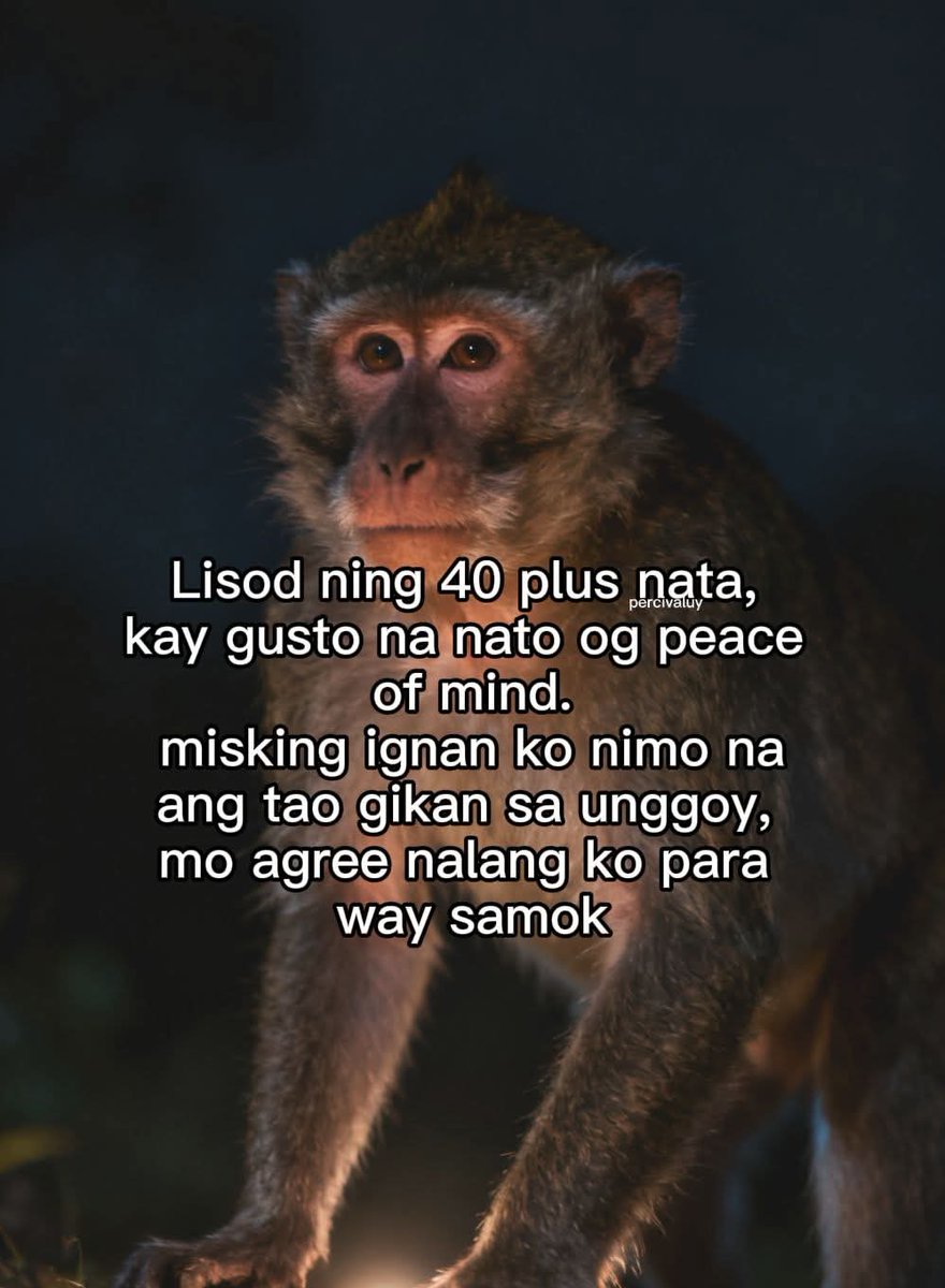 ᥫ🦅ʳᵃʸᵏʸᵒ𓄂𓆃 tweet media