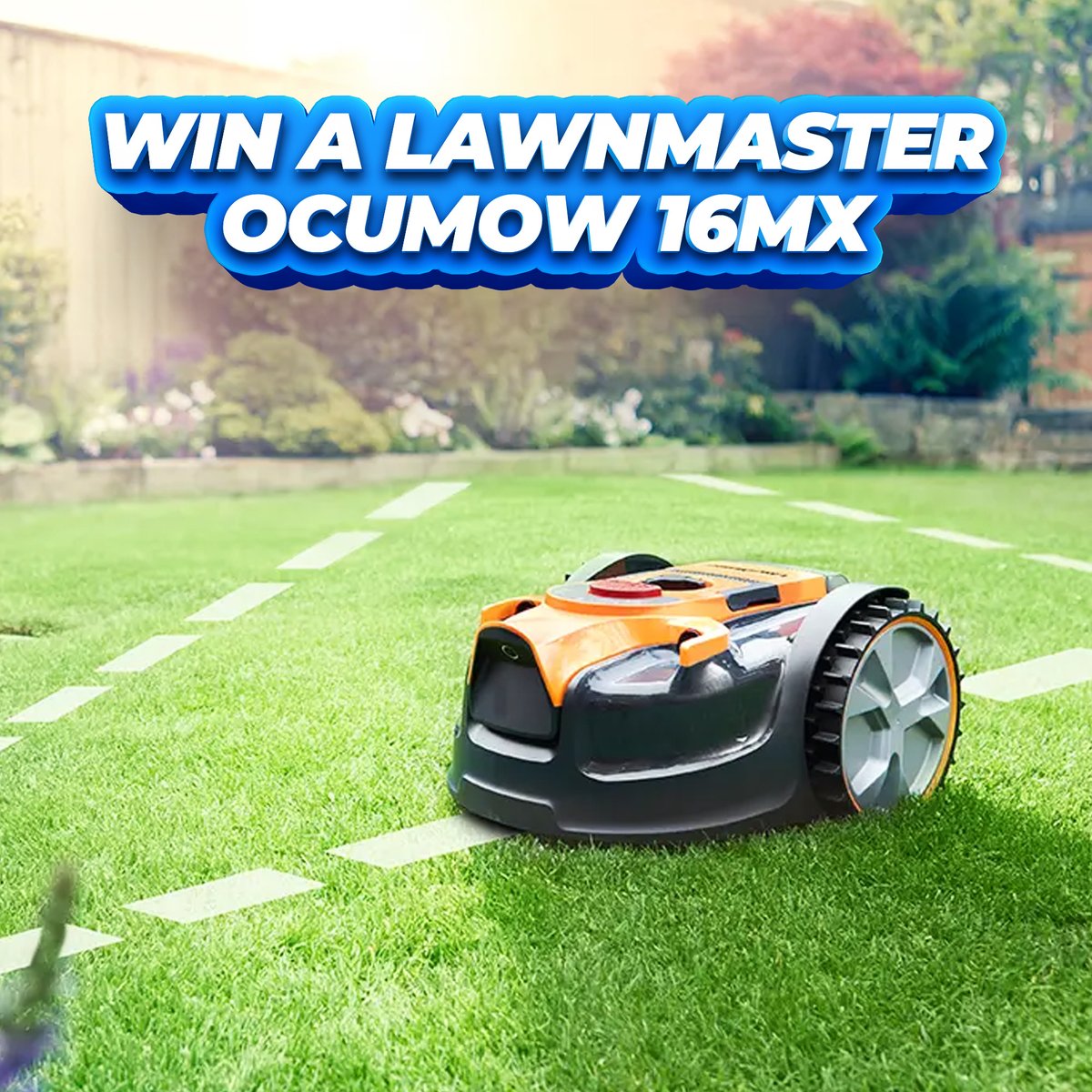 Tommy French Competitions tweet media