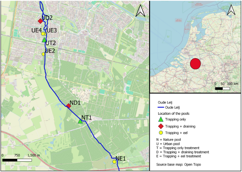 niooknaw's tweet image. New publication: Managing #invasive alien #crayfish in isolated #water bodies: Evaluating control #strategies for #biodiversity #conservation.
doi.org/10.1051/kmae/2…