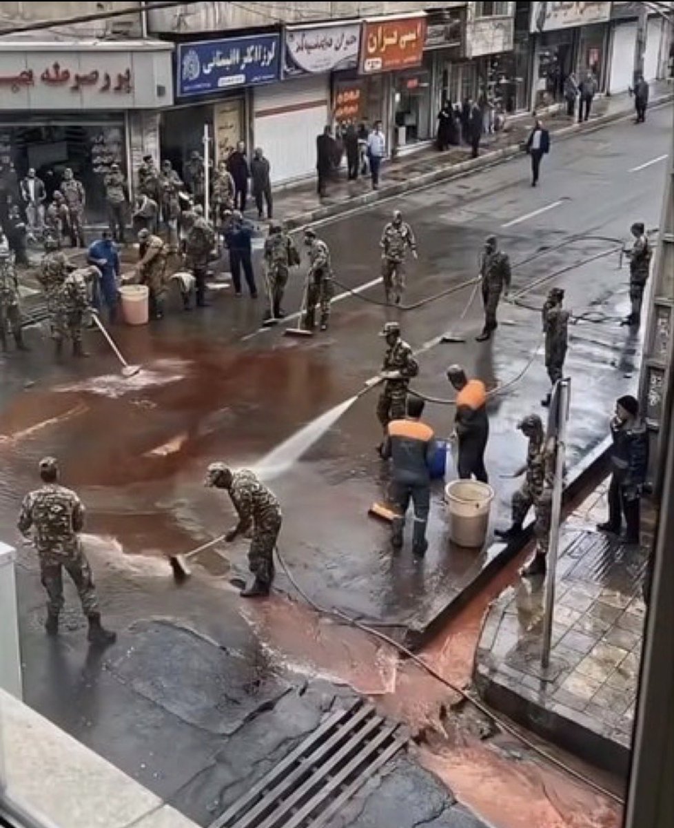 نبات داغ tweet media