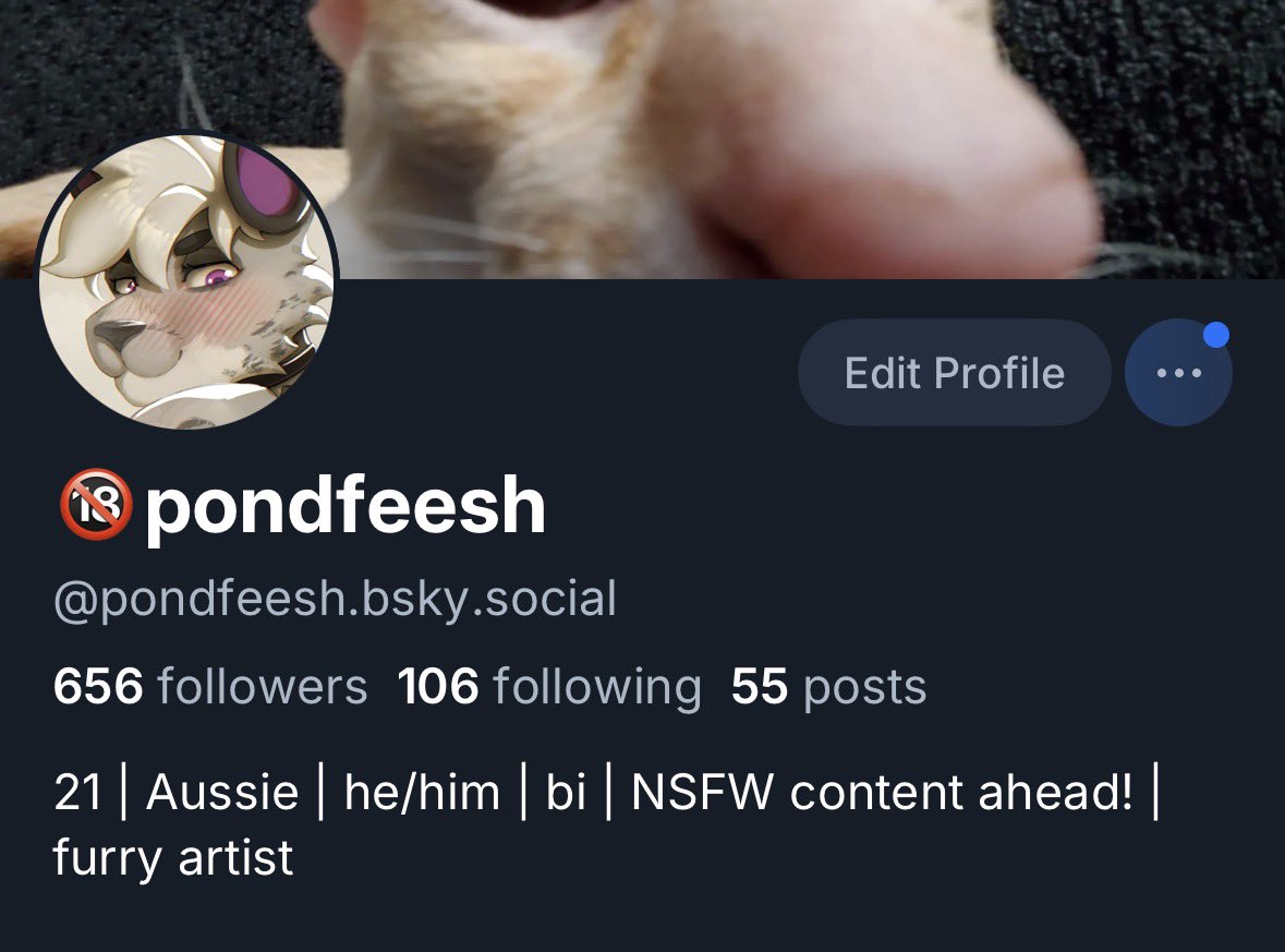 🔞 Pondfeesh 🔜 Aurawra 2026 tweet media