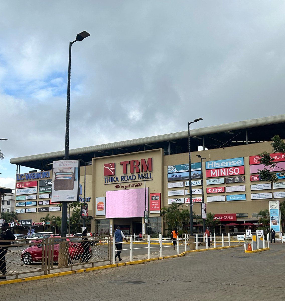 Allano🍉 tweet media