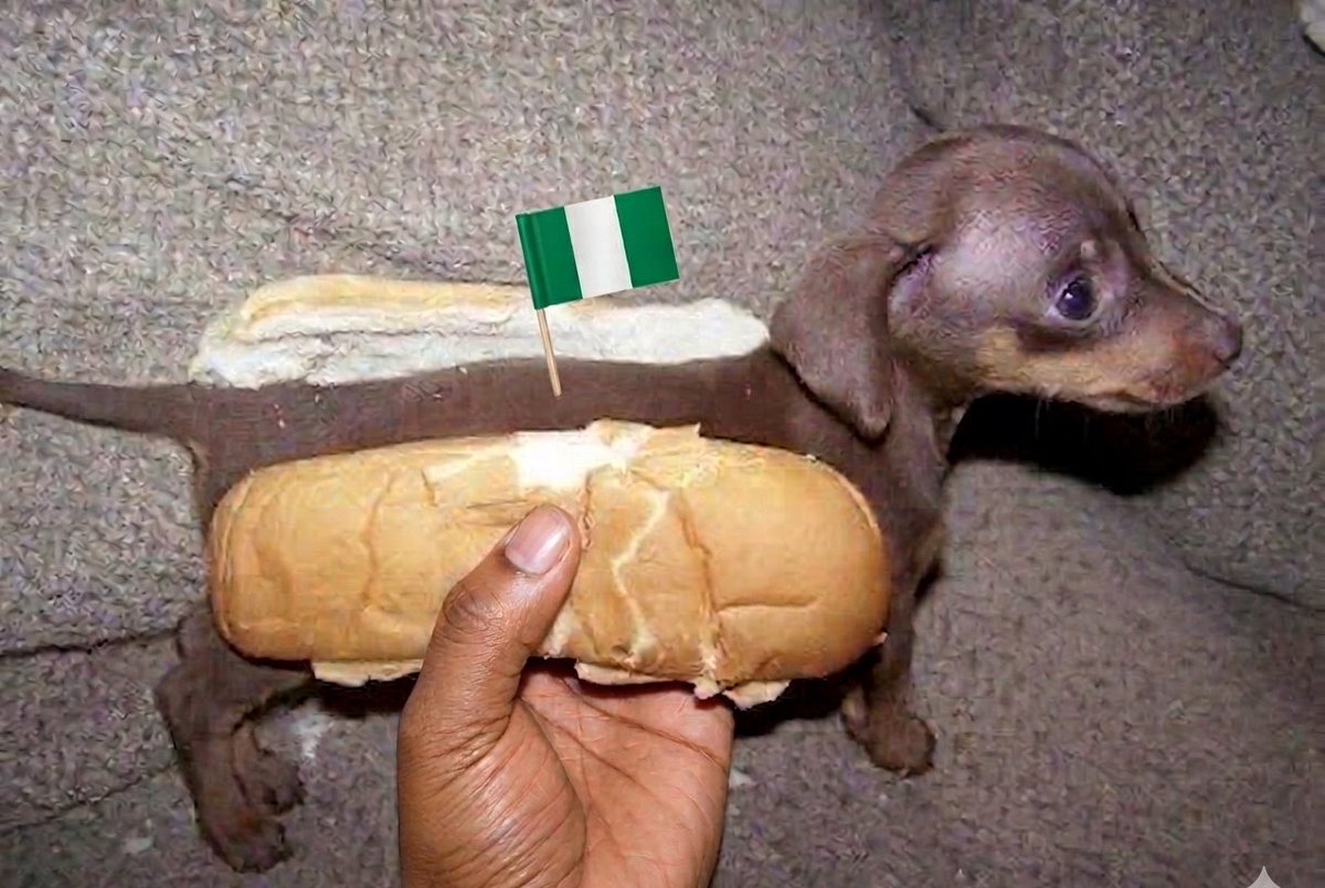 Olivia Sullivan tweet media