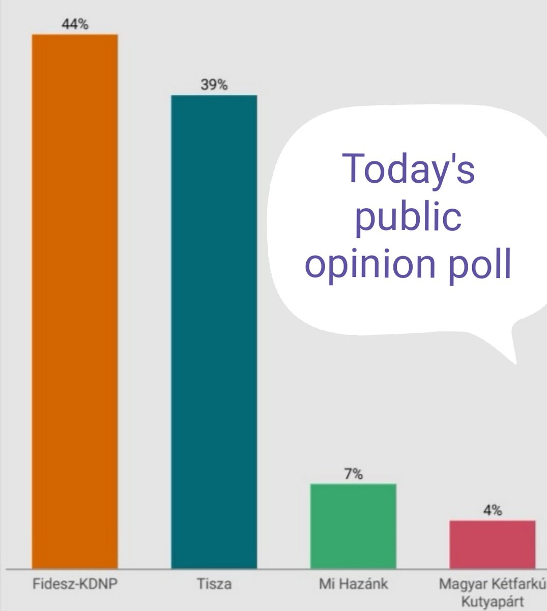 Katalin Dani tweet media