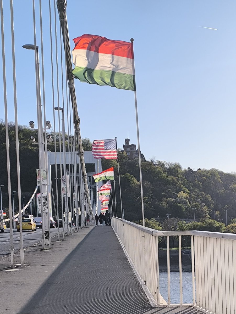 Visionreader tweet media