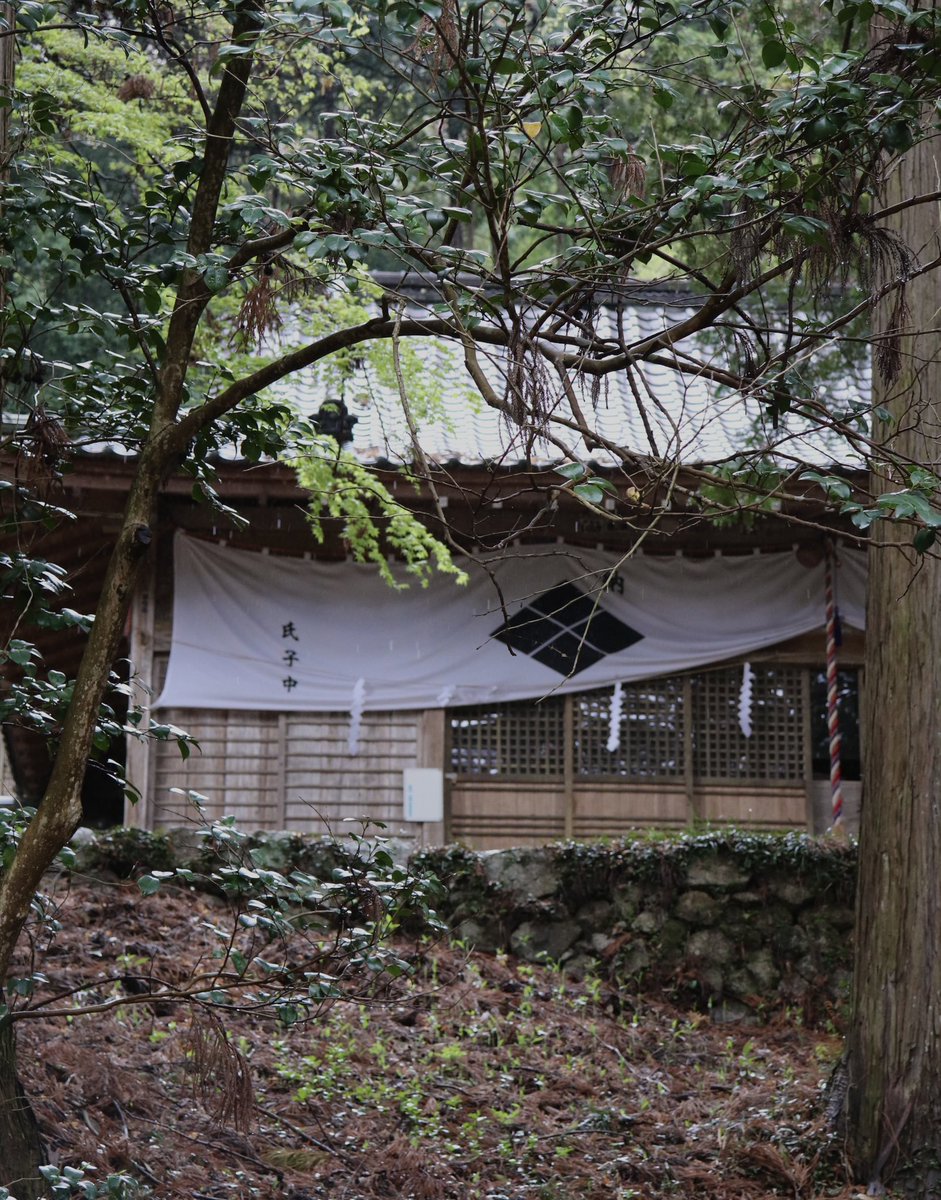 境内には多くの
木々や植物が息づいています。

今日の雨は
そんな自然にとって『恵みの雨』です。

---

通常、月・水曜日はお休みをいただいておりますが、4/29(祝・水)は社務所を開けてお待ちしております。

#武田八幡宮　#山梨　#韮崎