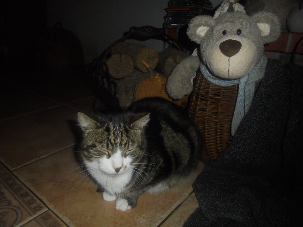 Maria Anna Fundacja Zdążyć do domu tweet media