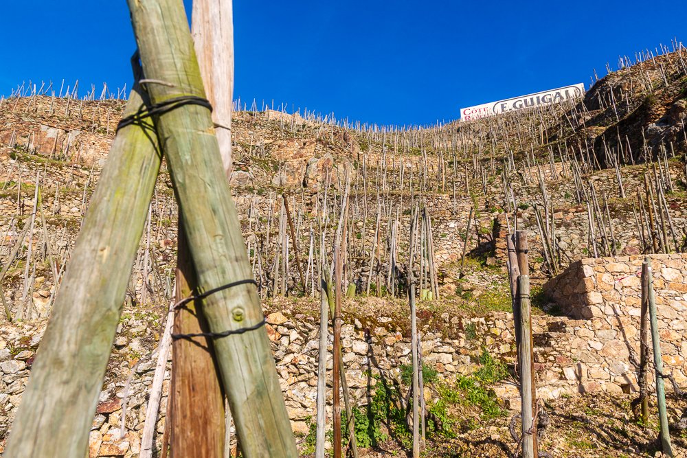 Domaine Guigal tweet media