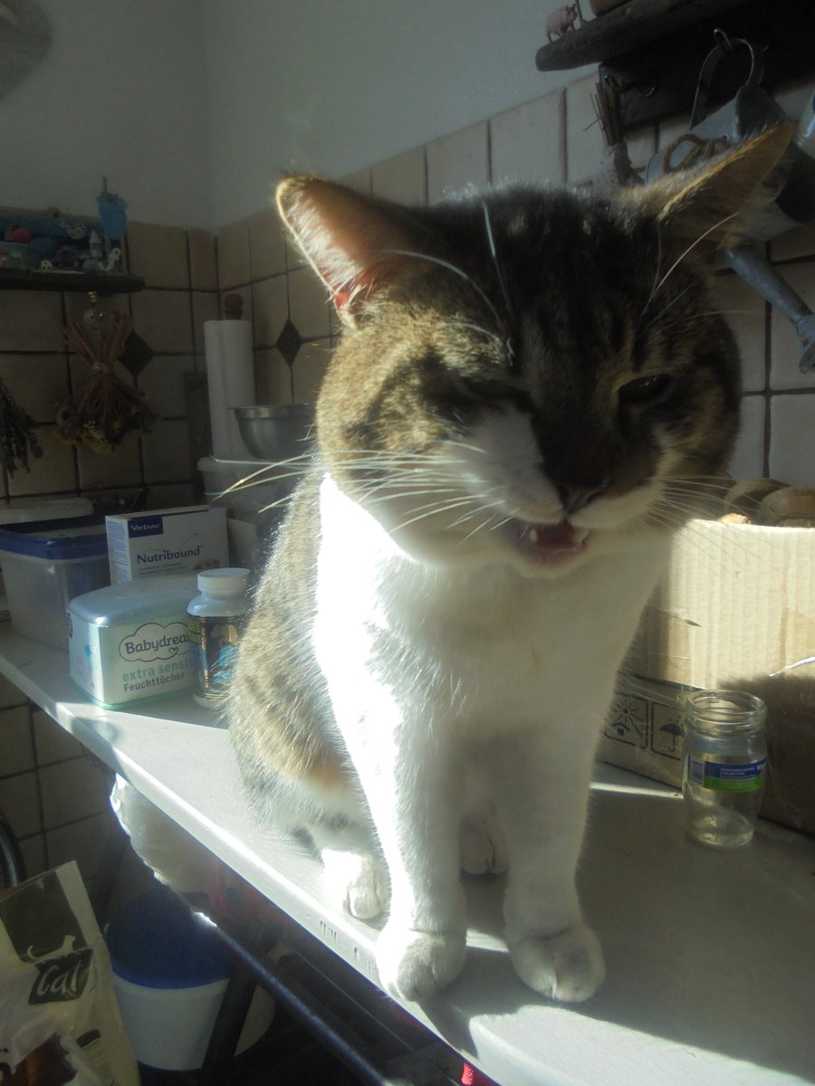 Maria Anna Fundacja Zdążyć do domu tweet media