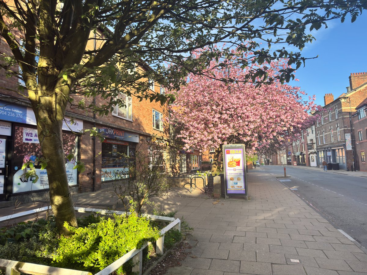 York Print Company tweet media