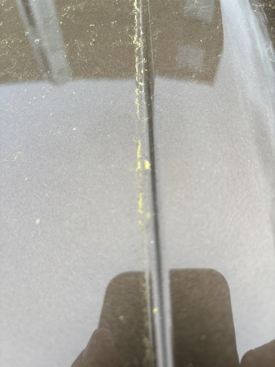 Blanke Atheïst 🇳🇱 tweet media