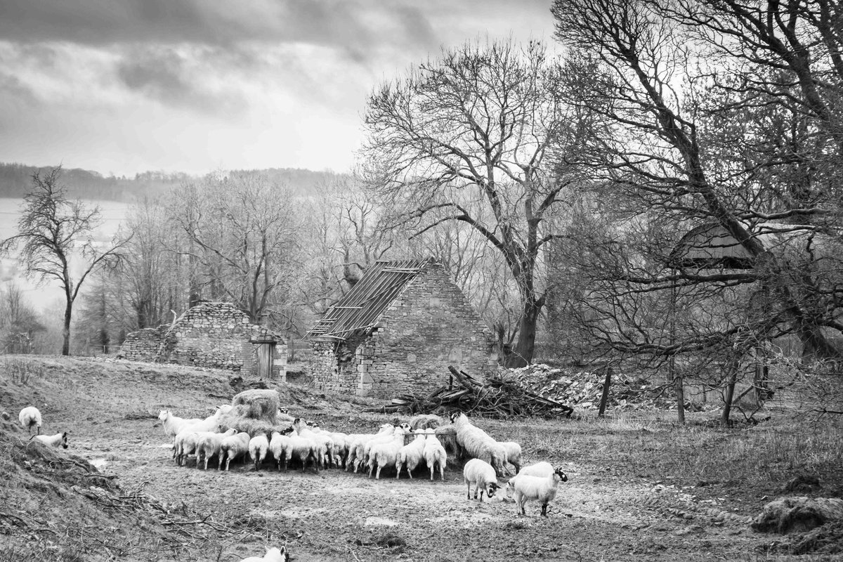 Pym's Consultancy Ltd tweet media