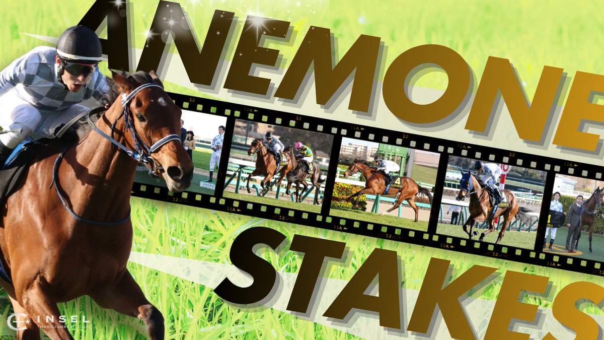 インゼルサラブレッドクラブ tweet media