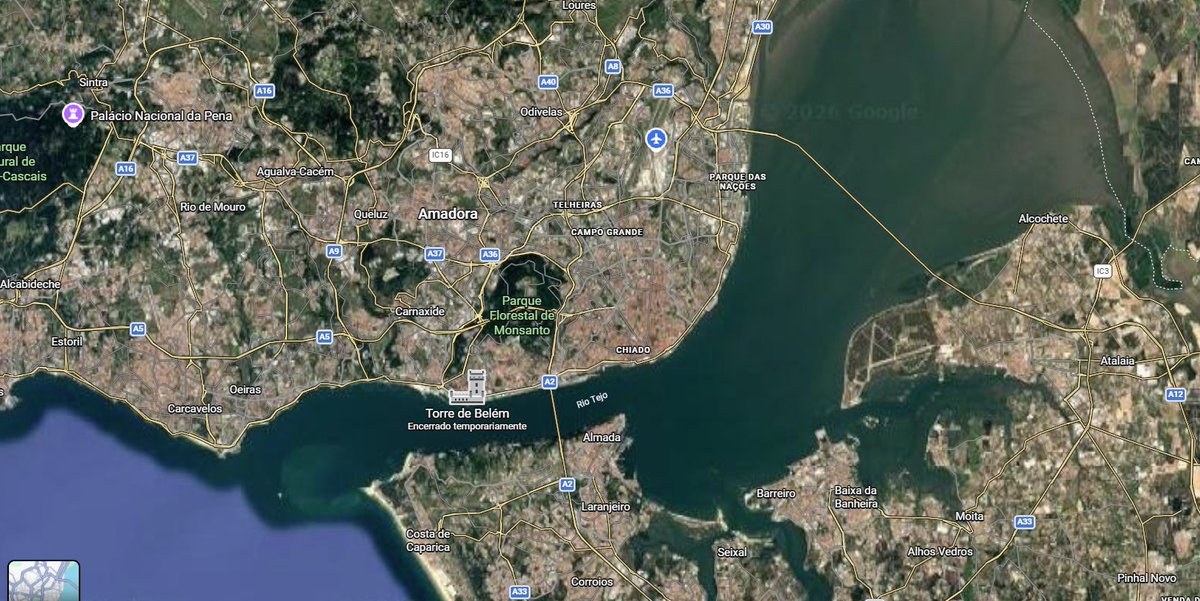 Manuel Joaquim tweet media