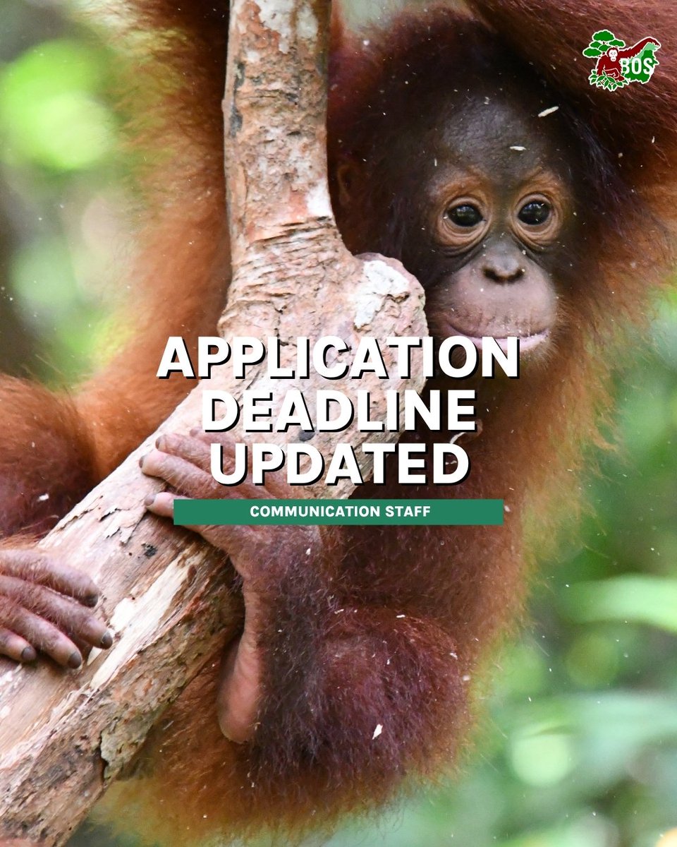 BOS Foundation tweet media