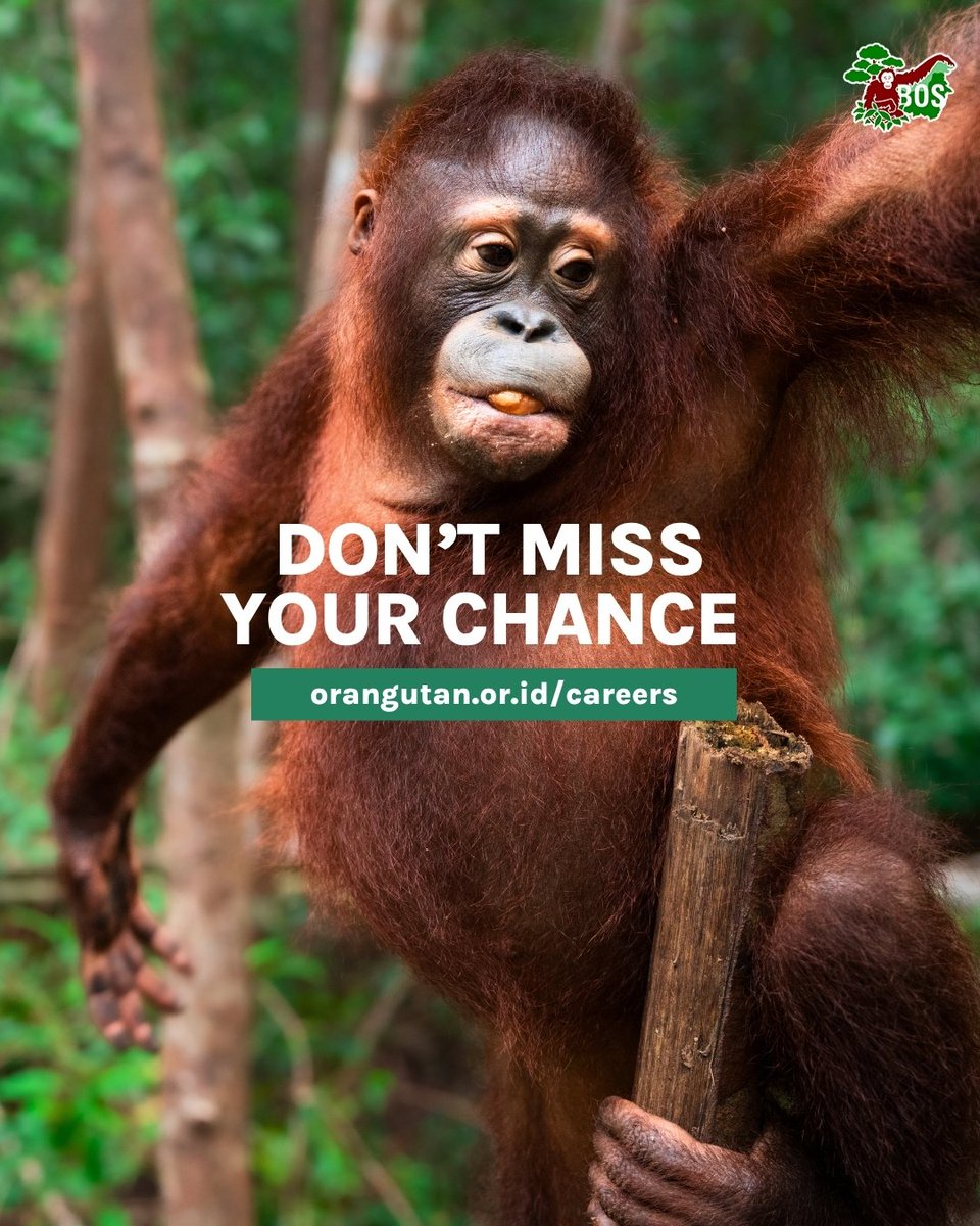 BOS Foundation tweet media