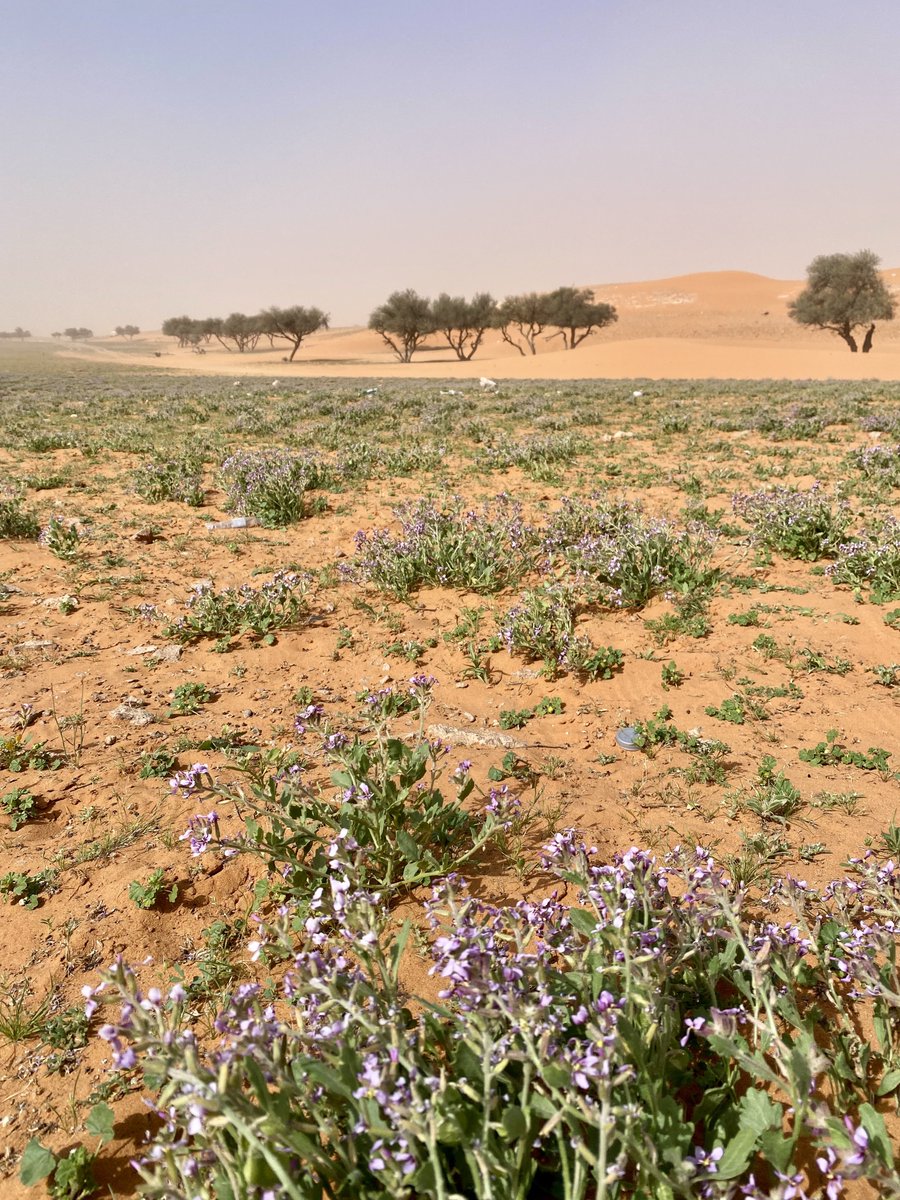 ابوعبدالله الفيصل 70 tweet media