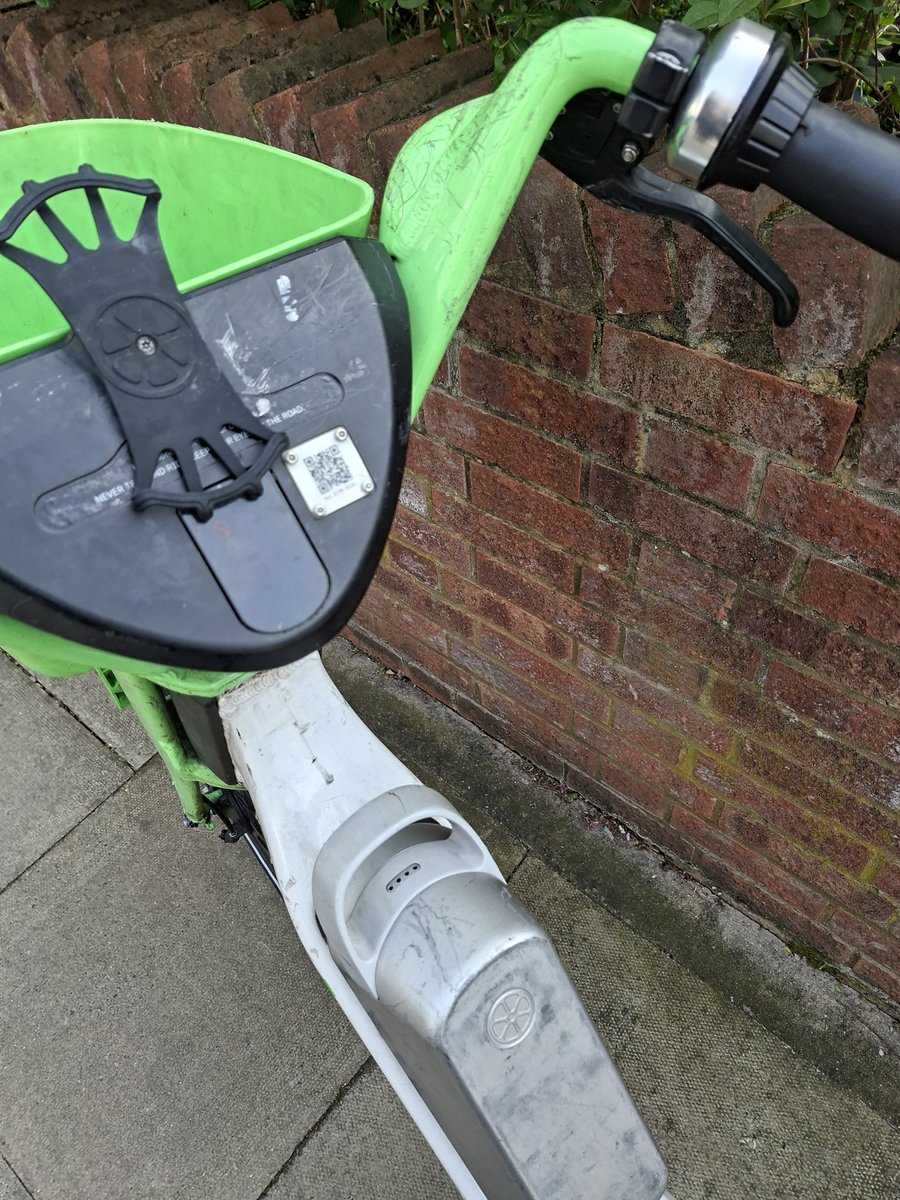 Mila Griebel tweet media