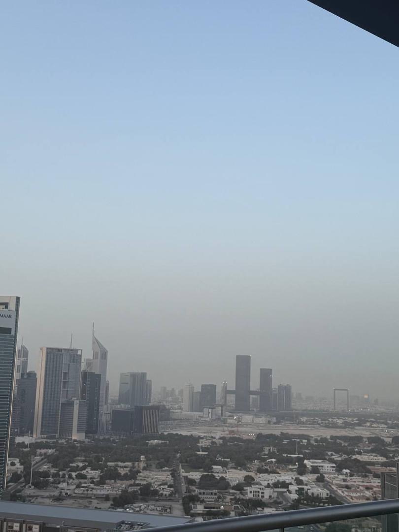 Owl Prints tweet media