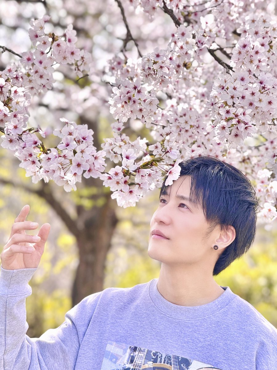 暦-koyomi-／ツキウタ。卯月新 歌唱パート koyomi from 桜men tweet media