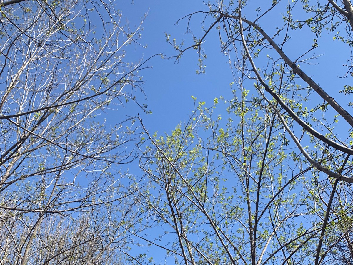 burdel matthias tweet media