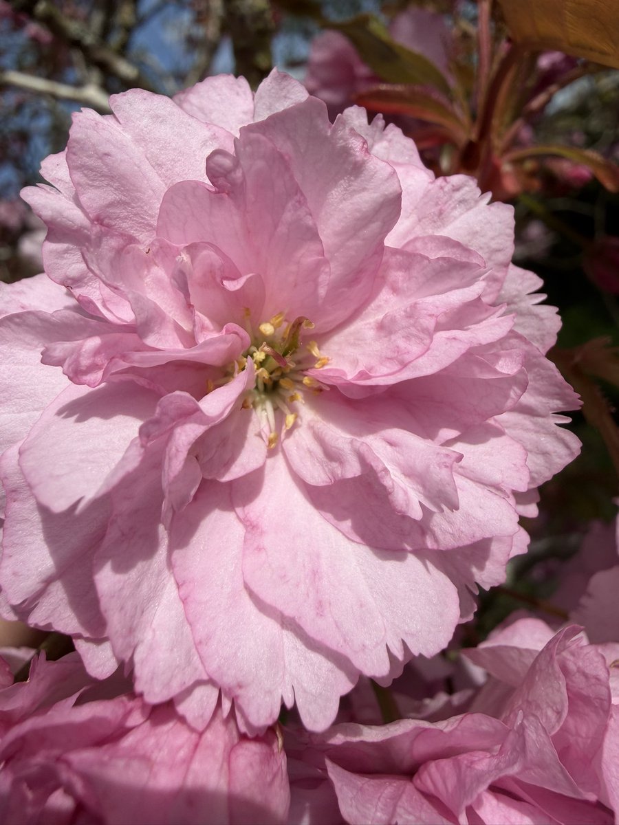 ☠️ Matt 👾 tweet media