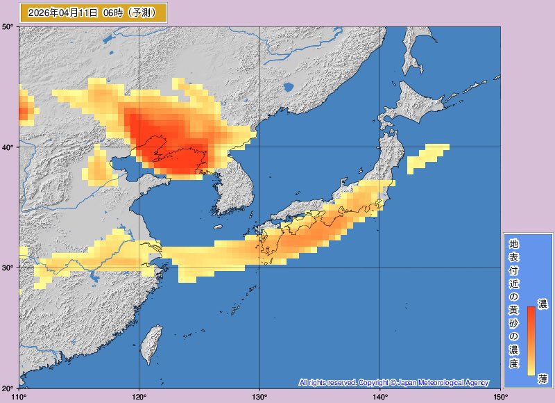 荒木健太郎 tweet media
