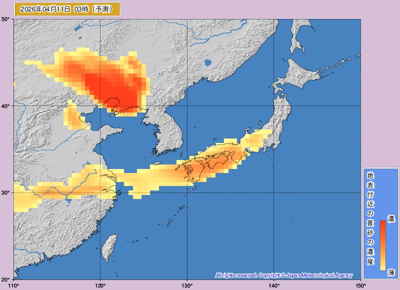荒木健太郎 tweet media