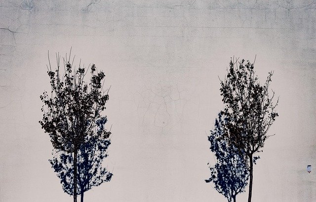 Martin Xiong tweet media