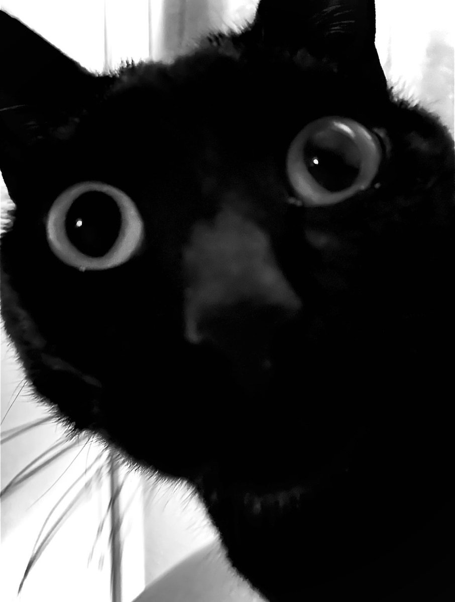 りっこ tweet media