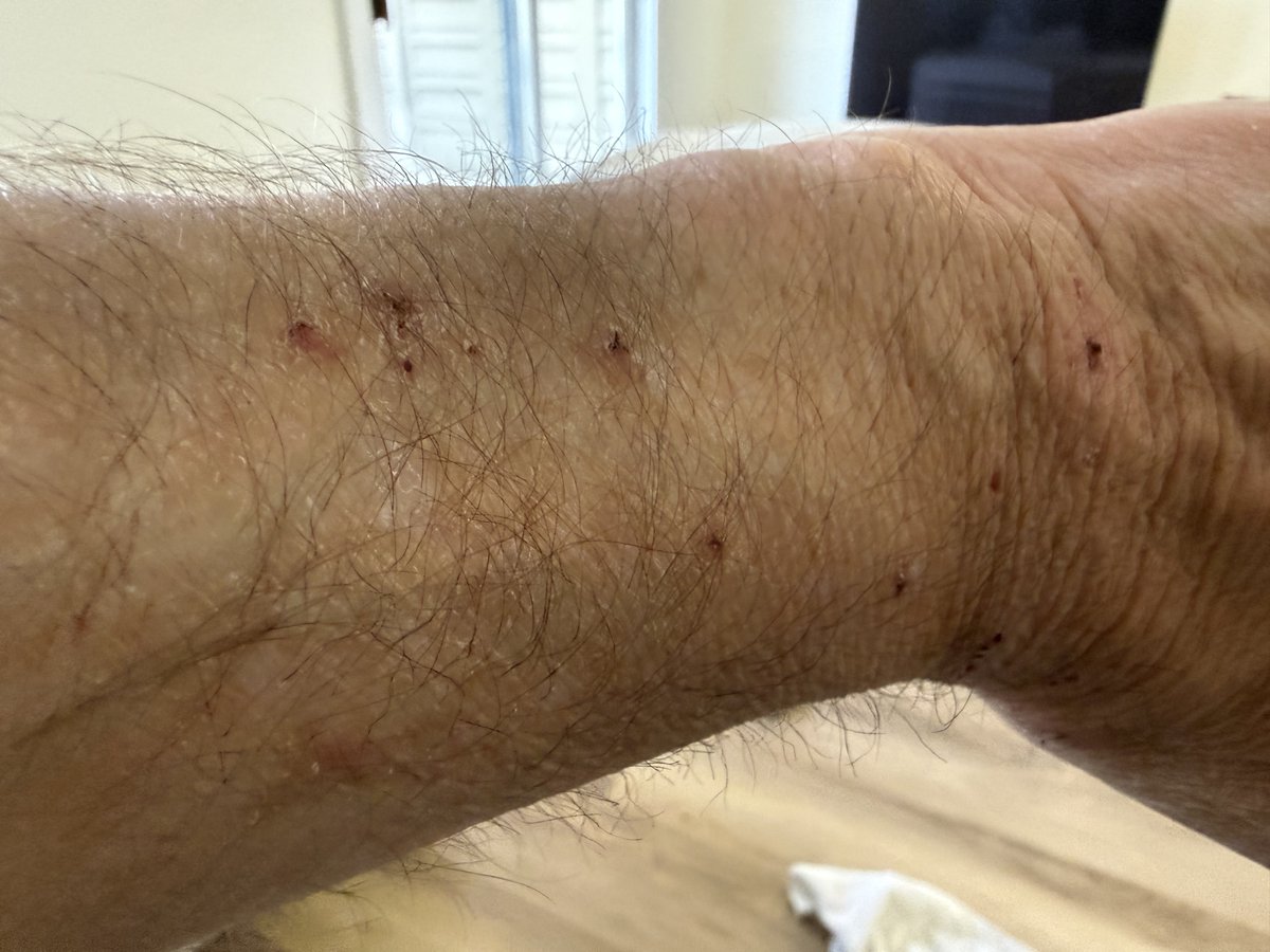 Arnie Spanier tweet media