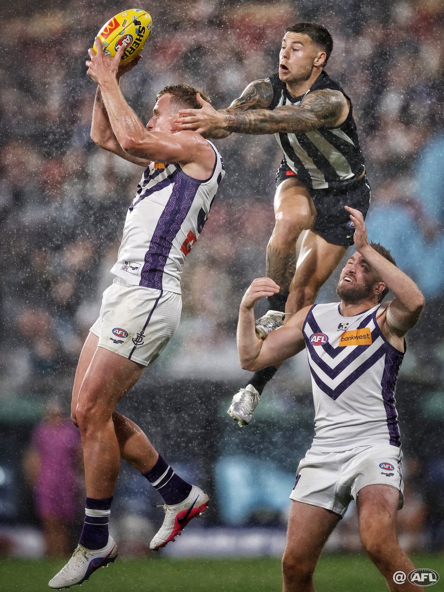 Michael Willson tweet media