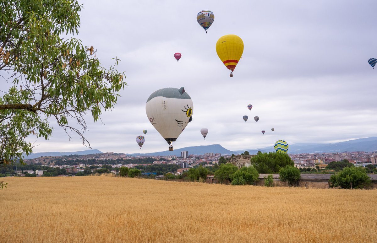 European Balloon Festival tweet media