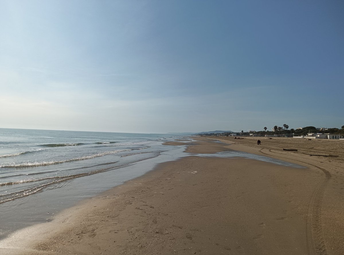 Climate Warrior🐬 #ClimateJustice🇵🇸🏳️‍⚧️🏳️‍🌈 tweet media