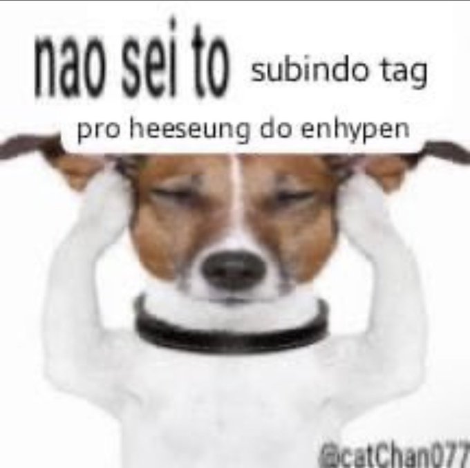 Jully ~ 𐙚ENHYPEN IS SEVEN tweet media