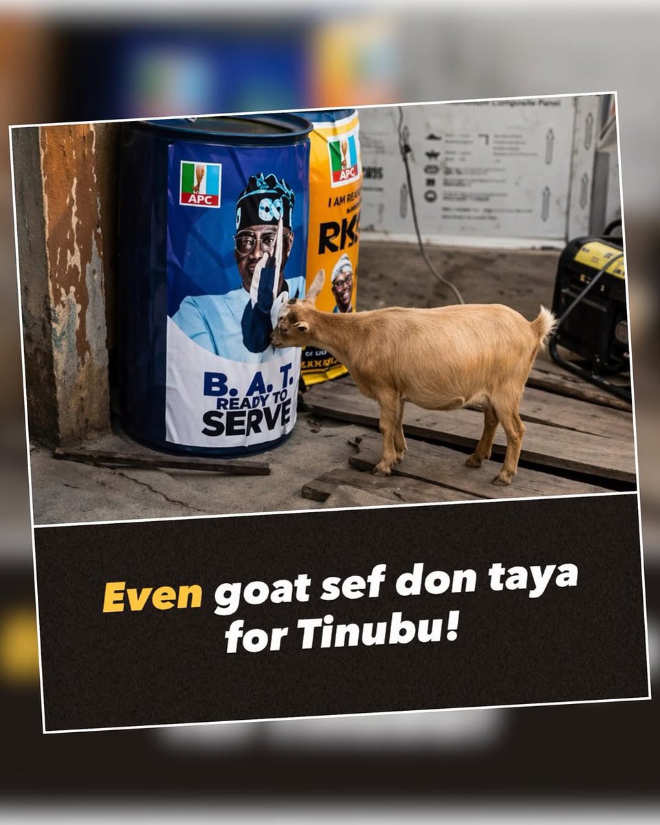 Godspower Collins N 🦅🦅🦅 tweet media