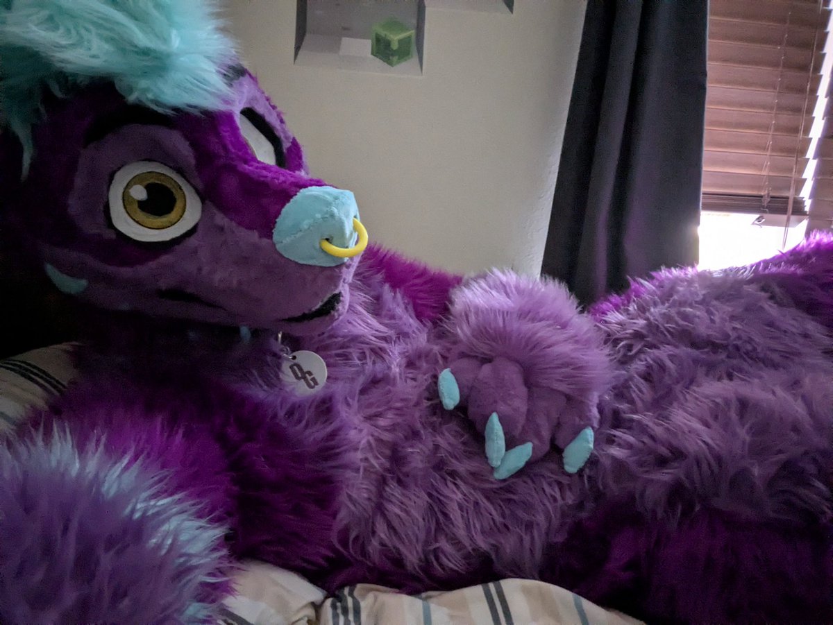 DriftGMD's tweet photo. Belly wubs, please? 🥺
#fursuit #furry #bellyrubs #furryfandom #fursuiter https://t.co/l2yNhlwQRY