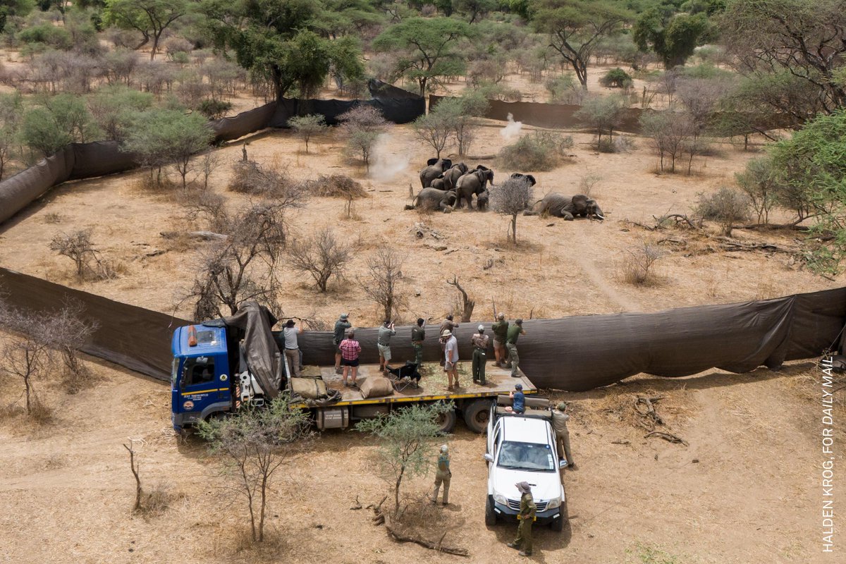 World Press Photo tweet media