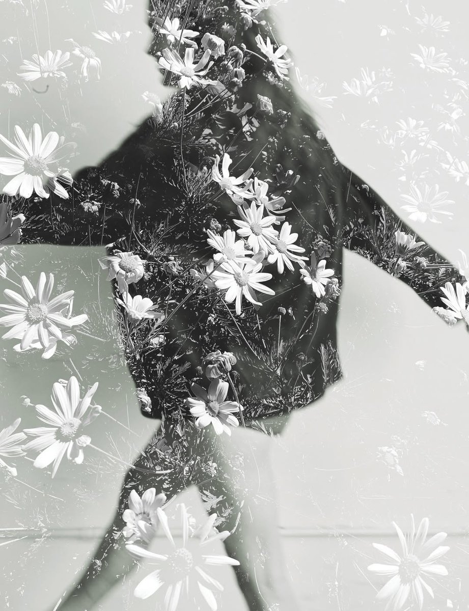 Sadie Sink Brasil tweet media