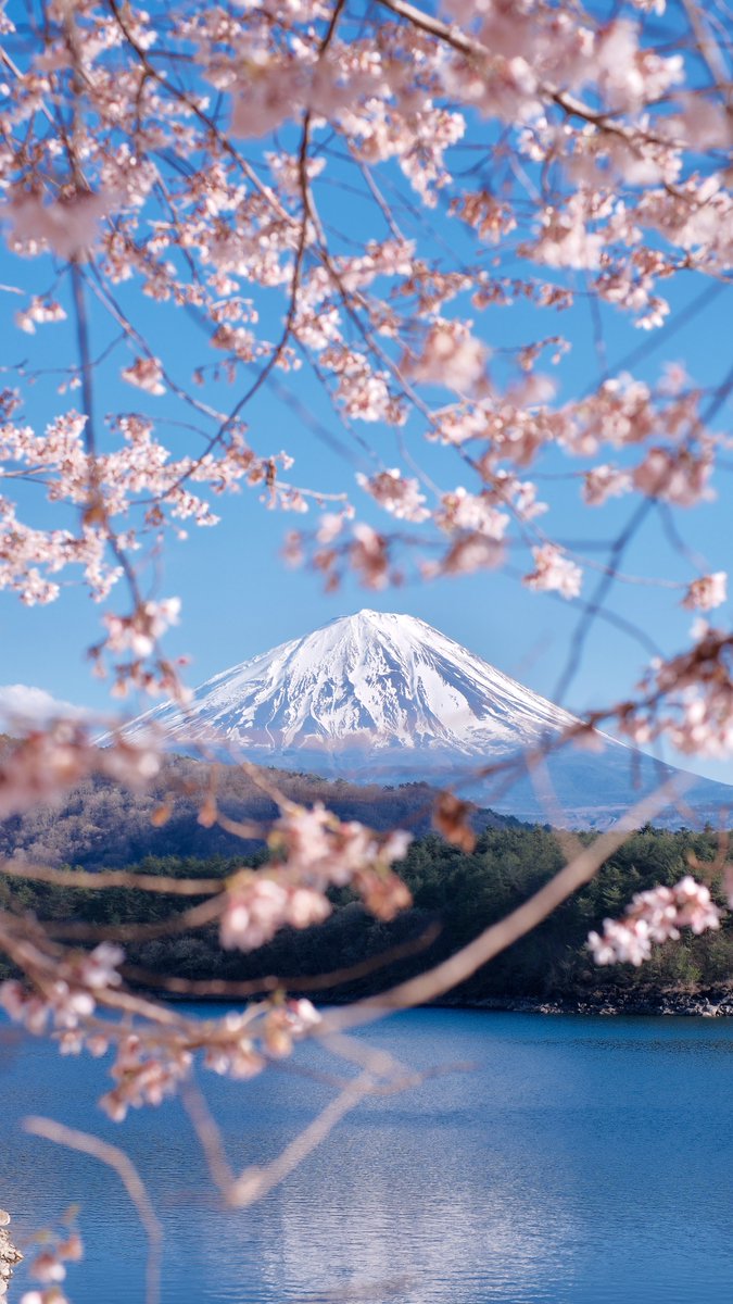 ケィリン☕Kaylyn💙K零 tweet media