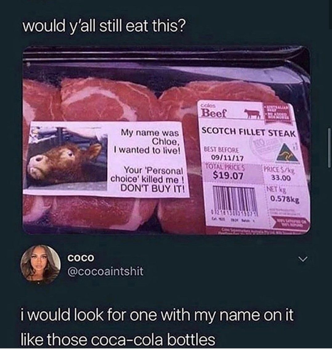 dinosaur tweet media