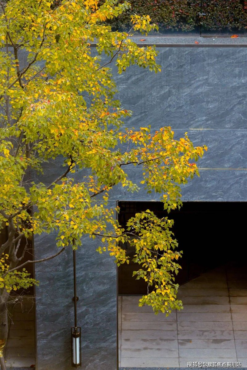 Melvina Y.Sohawon tweet media