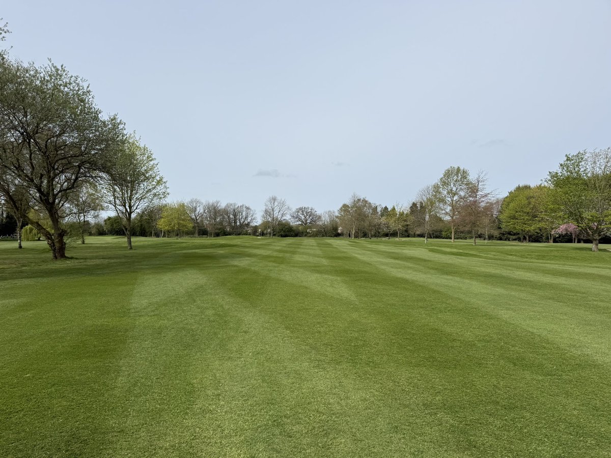c86low's tweet image. Course shaped up nicely for masters weekend! #golf #turf #greenkeeping #themasters