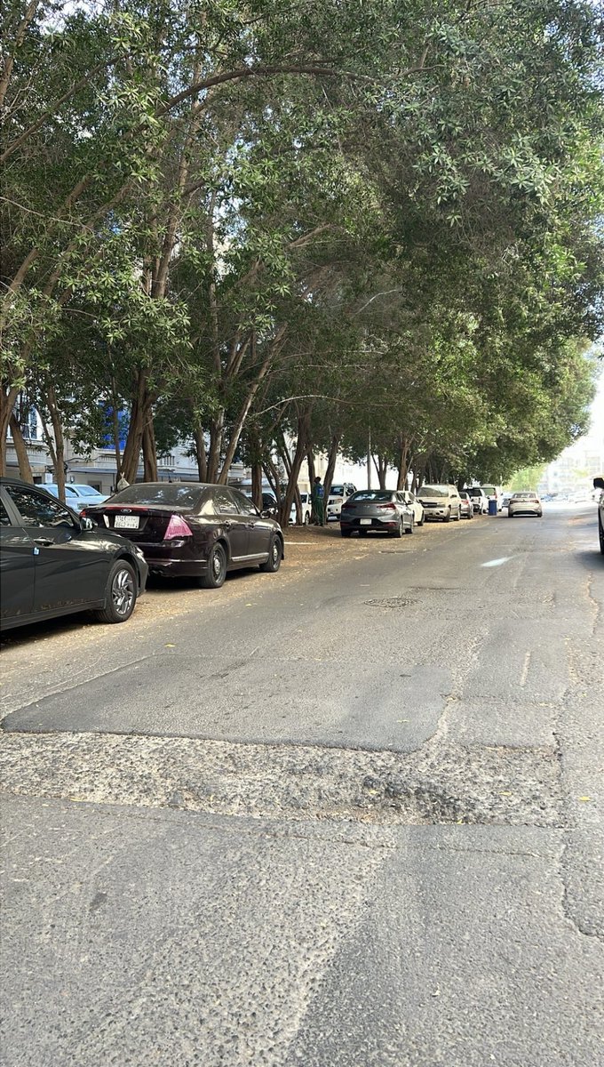 جدة | JEDDAH tweet media