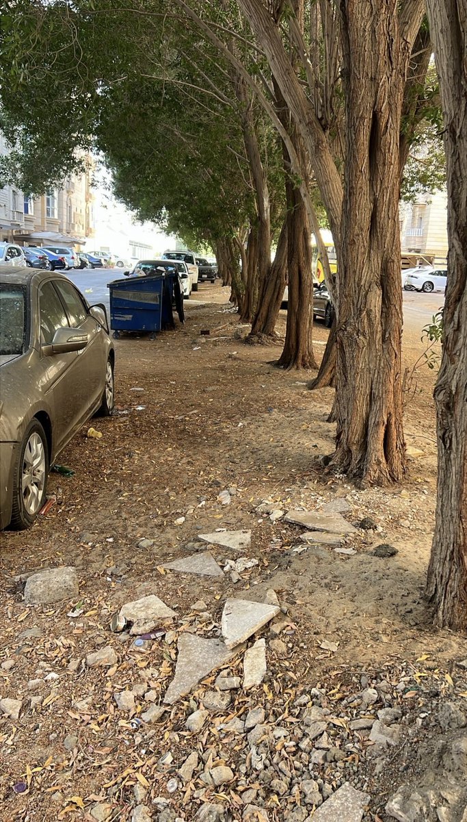 جدة | JEDDAH tweet media