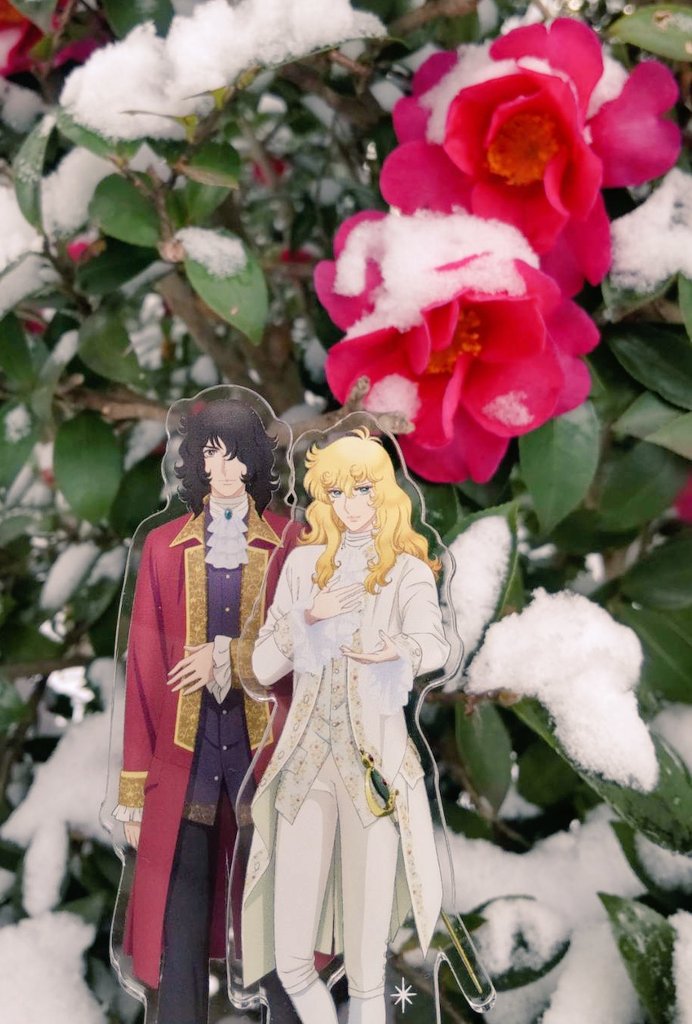 ちはな🔔🌹 tweet media