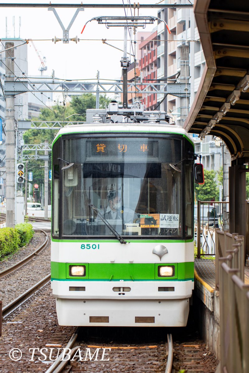 つばめ🌾 tweet media