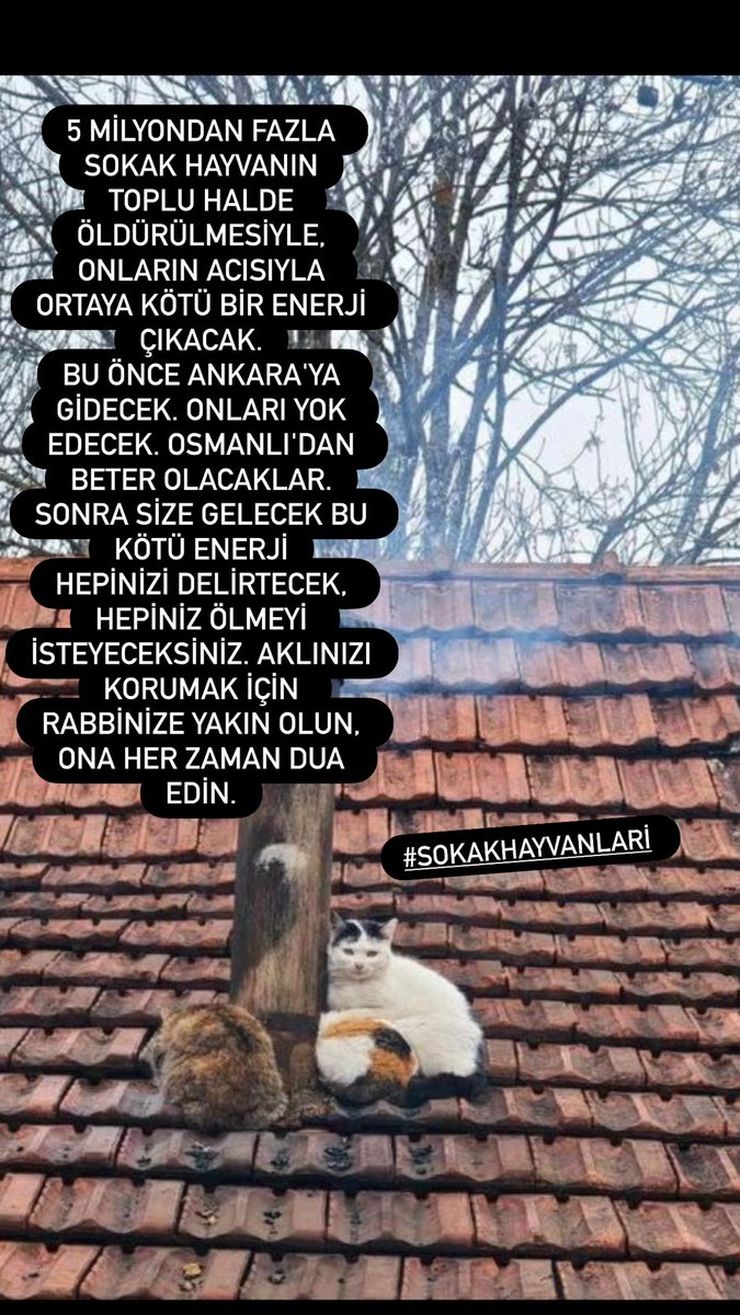 MIRBJK's tweet photo. @AbdullahGunydn https://t.co/tQqqkzCXi0